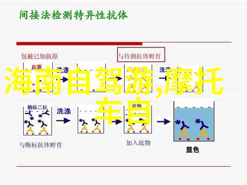 九华山景区实行分时预约最近一周日接待游客量不超过最大承载量30有效缓解社会旅游热点新闻中的压力