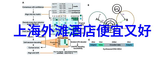 哪里能找到上海最经典的烤鸭