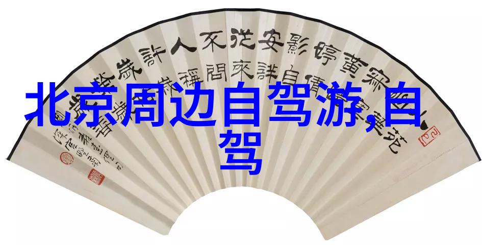 跨境旅行指南深度探究出境游前期准备与安全保障策略