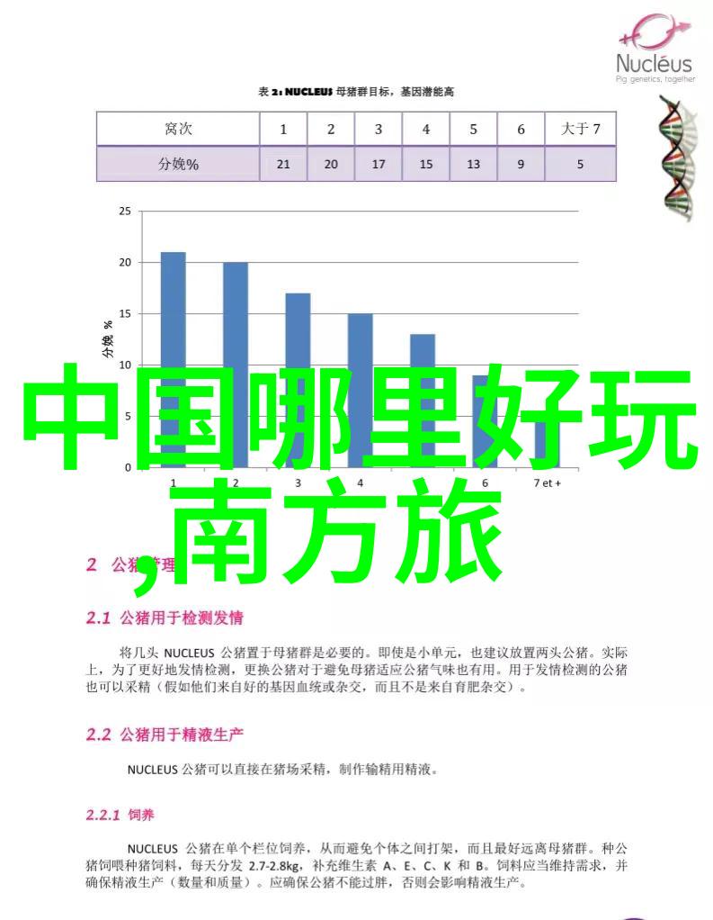 海滩天堂的秘密三亚探秘之旅