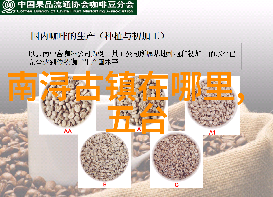 探索香榧森林公园设计一条穿梭自然之旅的线路