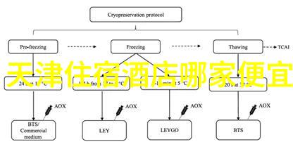 夜幕下的热情追求探索喜爱夜蒲全集的文化内涵与艺术魅力