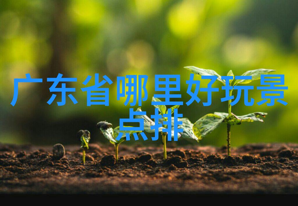 云南迷你探秘一日游线路图解