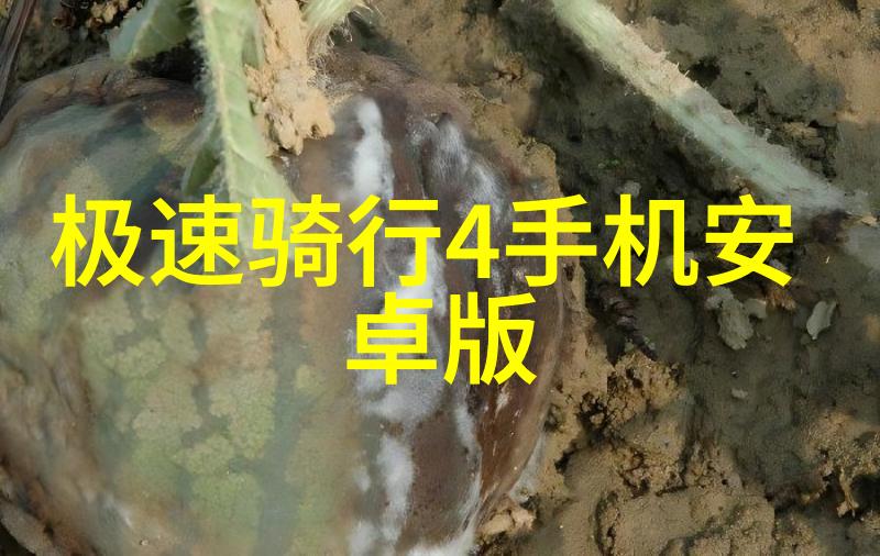 江南水城之谜揭秘南京不为人知的旅行秘密