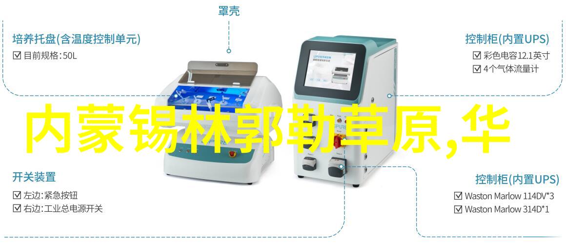 户外活动拓展探索自然体验冒险增强团队协作