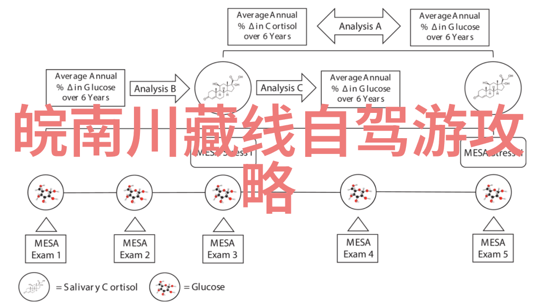 围城txt现代都市情感纠葛