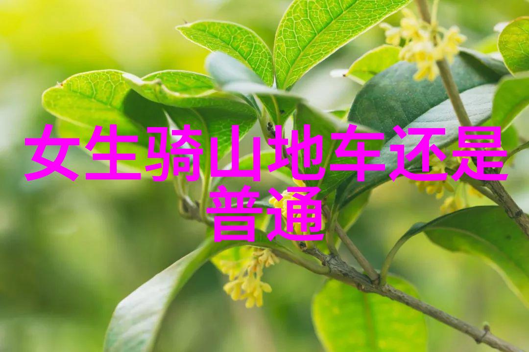 装备齐全骑行无忧必备物品指南