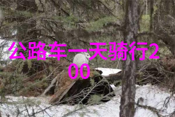 在南京汤山温泉中最好的哪家是值得一去的大理住宿攻略推荐