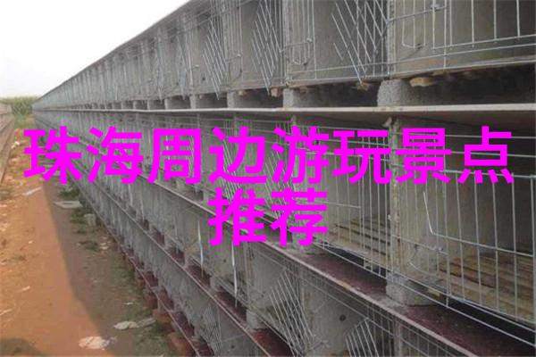 重庆之冠探秘大熊猫公园与碧波潭的奇迹