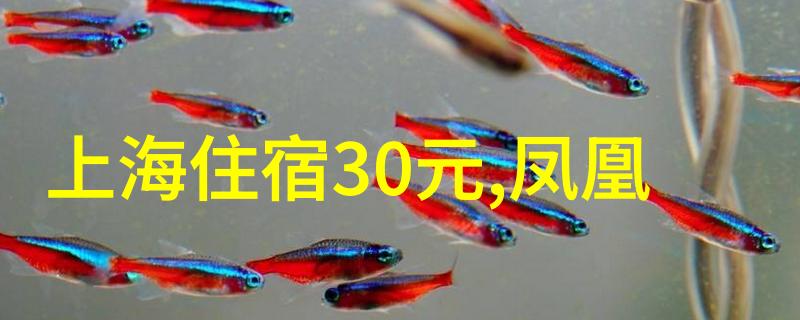 极速骑行4中文设置秘籍魔鬼训练女将王珞丹破风热血新篇章