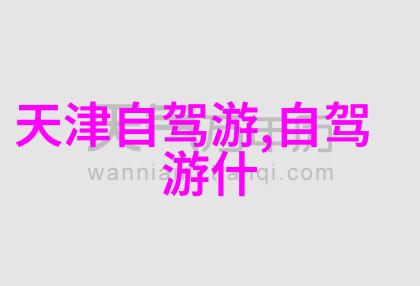 探究旅游攻略应用程序的选择基于用户体验和功能性的一项比较研究