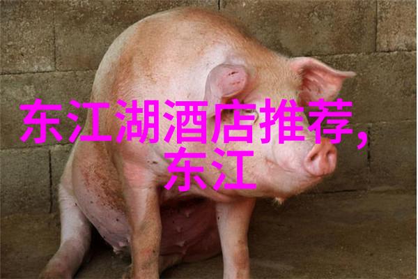 东北夏令游喀什美食探秘尝遍这座古城的味道精选