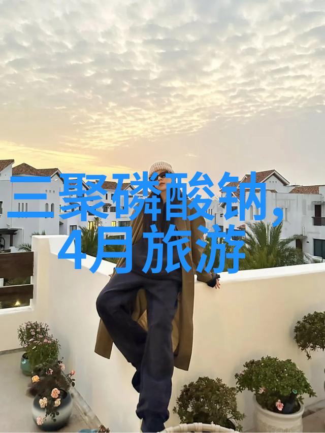 500字征服者初中生游记大挑战