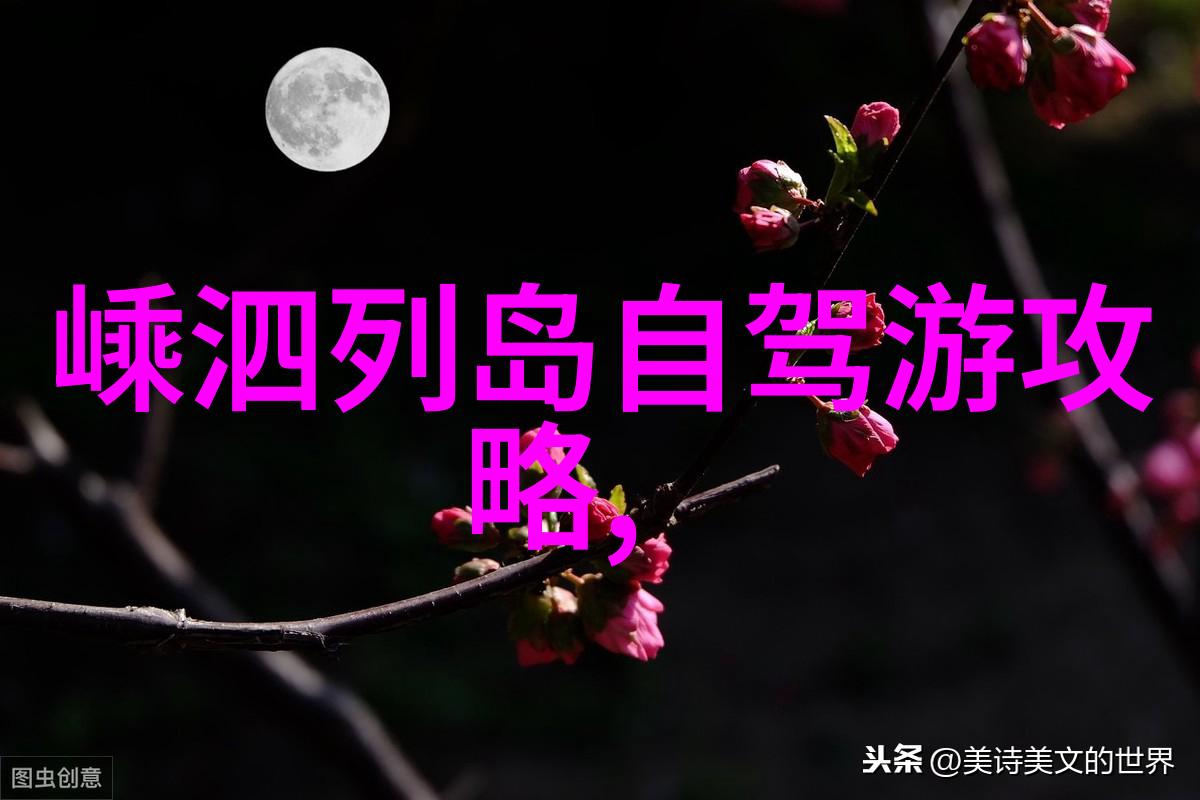 探秘奇迹埃及金字塔的神秘魅力