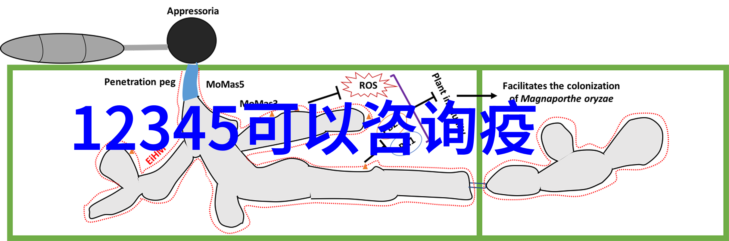 你知道吗北京周边还有这样多的旅游攻略必去景点呢