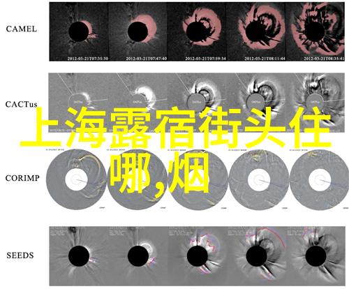 北京大兴机场住宿攻略从选择酒店到优化出行助您轻松享受首都之旅