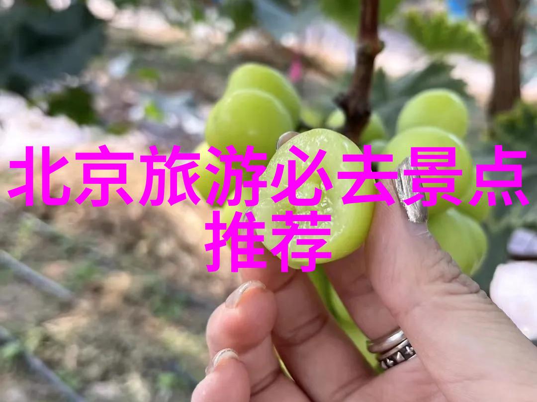 骑行网全能自行车分享社区