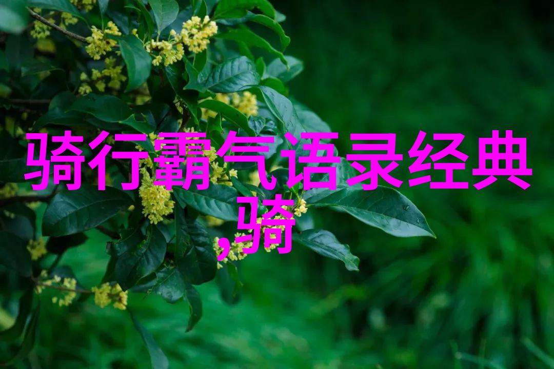 穿越千年揭秘古道上的神秘足迹