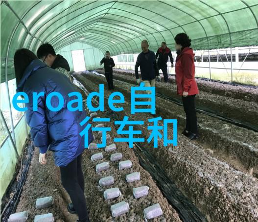 经典经典再现精选几条适合家庭出游的云南旅游线路及费用估算