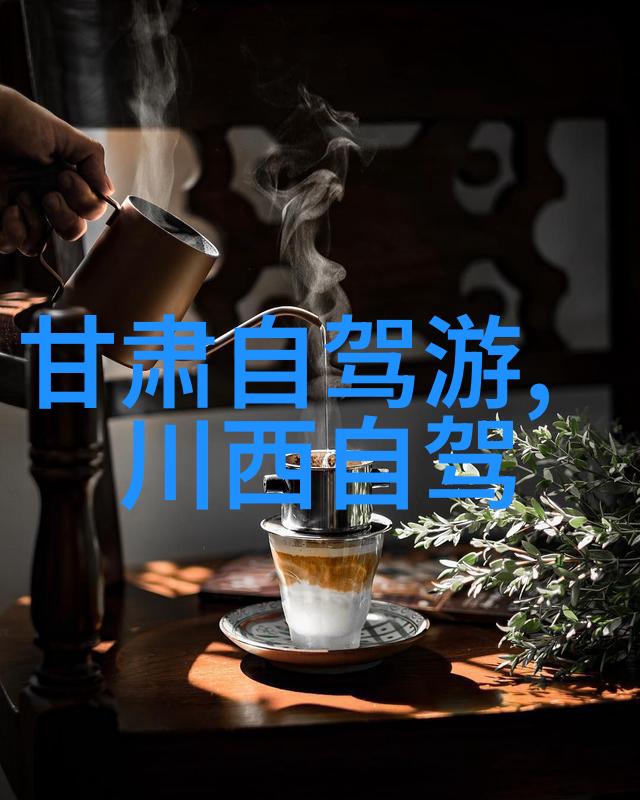 风中的翅膀骑行的自由之翼