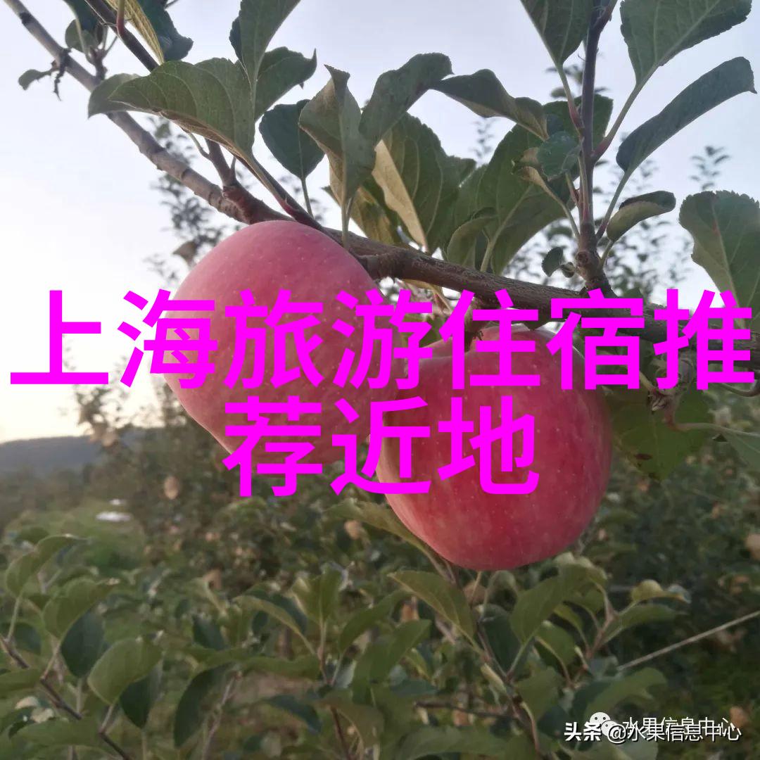 云南梦回青春丽江古城游记