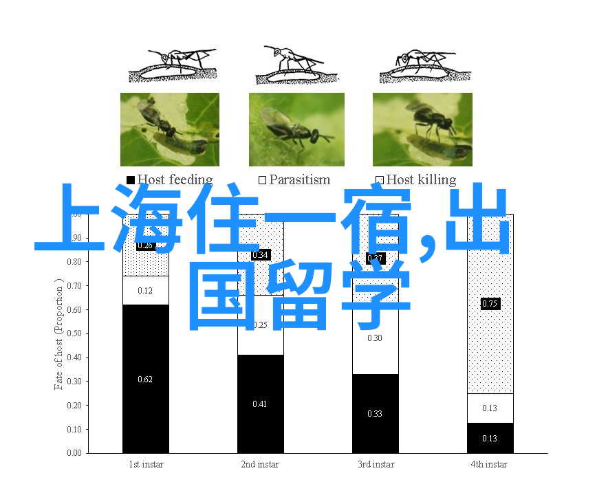 恰似你的温柔gl歌曲中的情感共鸣