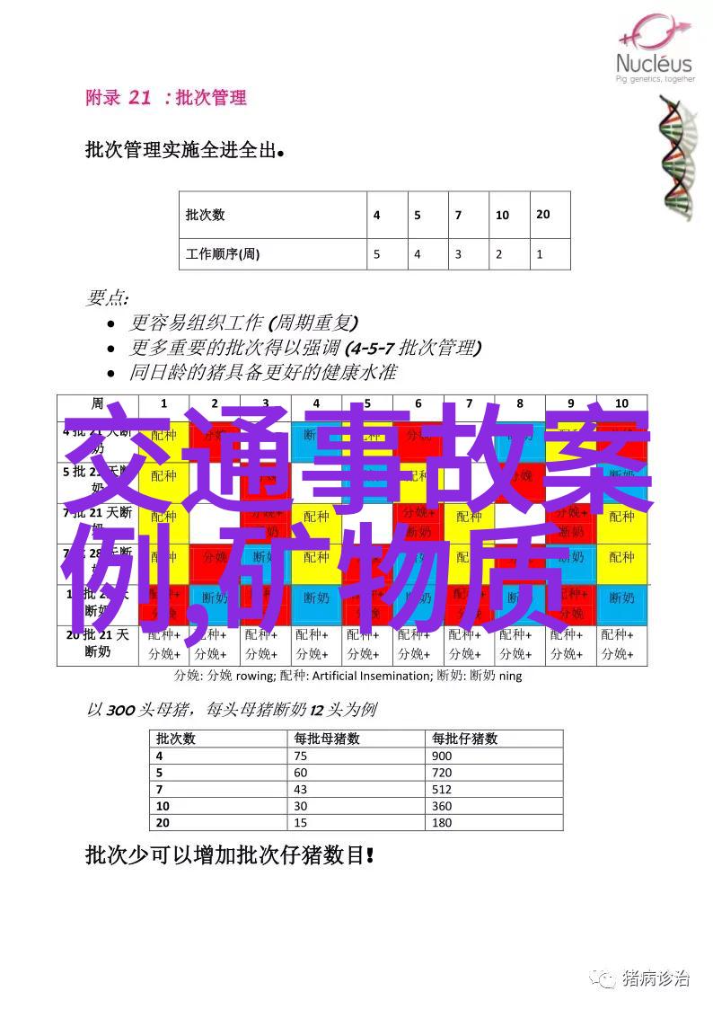 30分钟内让您满意的家居整理秘诀