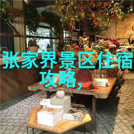 青春旅行计划政府为年轻人推出的新一代游客政策是什么内容