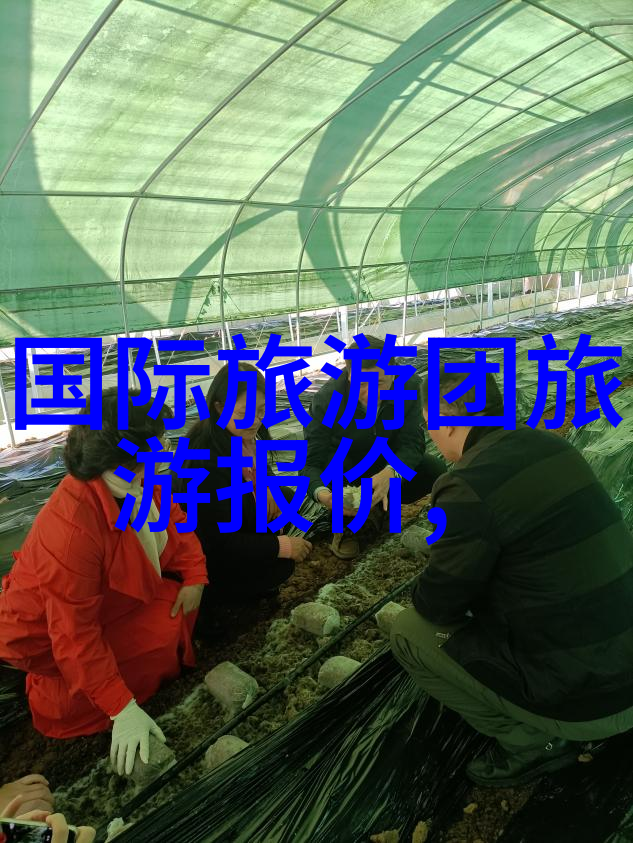 追逐梦想的足迹我的优秀作文800字初中满分游记