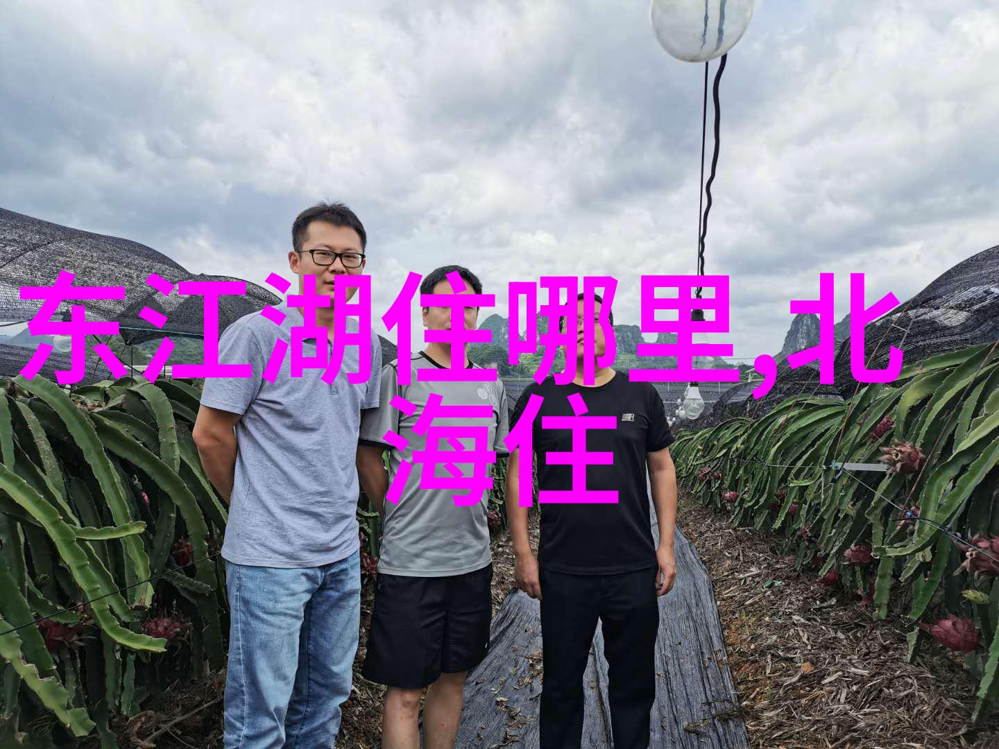 为何说外滩老城厢是每个游客都必须访问的地方