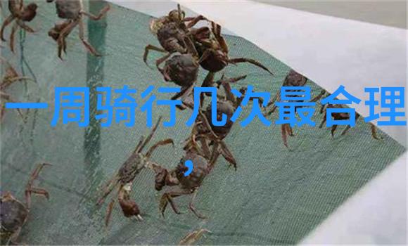 打造完美假日在沈家门寻找那些隐藏的宝藏住所