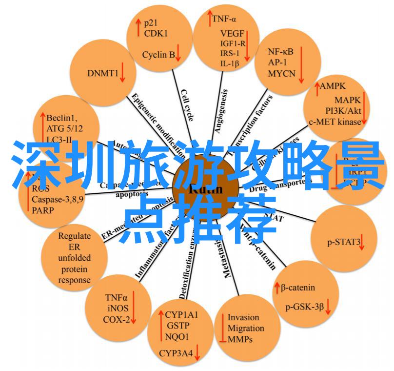 川藏线上的自驾梦想穿越天路的奇迹之旅