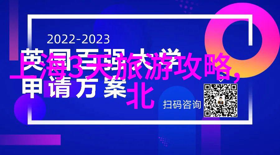 可访问性提升行动计划实施情况评估与未来展望