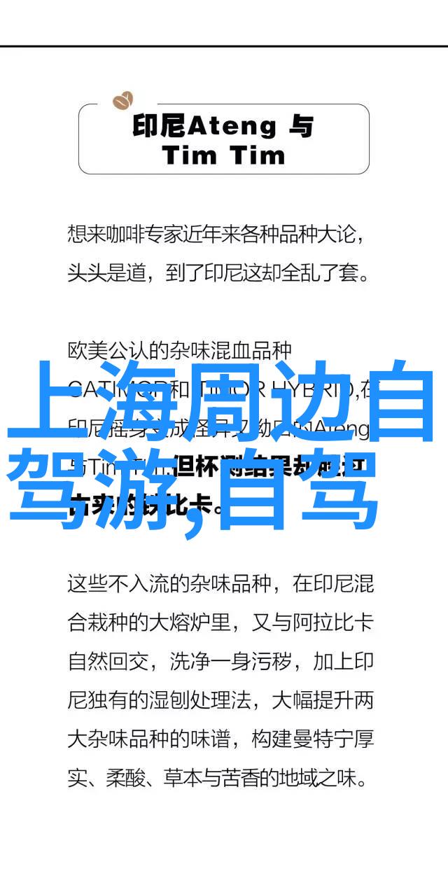 澳洲留学生在校缴费之旅犹如西悉尼大学的学术殿堂每一步都充满了精彩与挑战