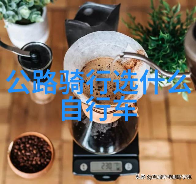 骑行伴侣安全便捷的app骑行软件下载