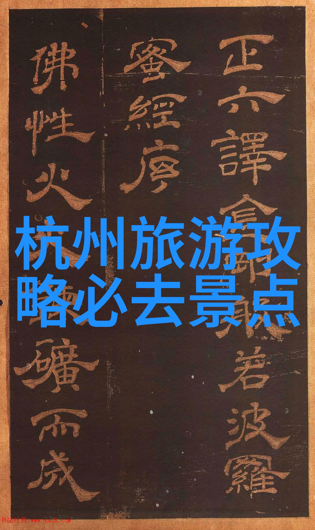 他们通常使用什么类型的自行车来出行呢