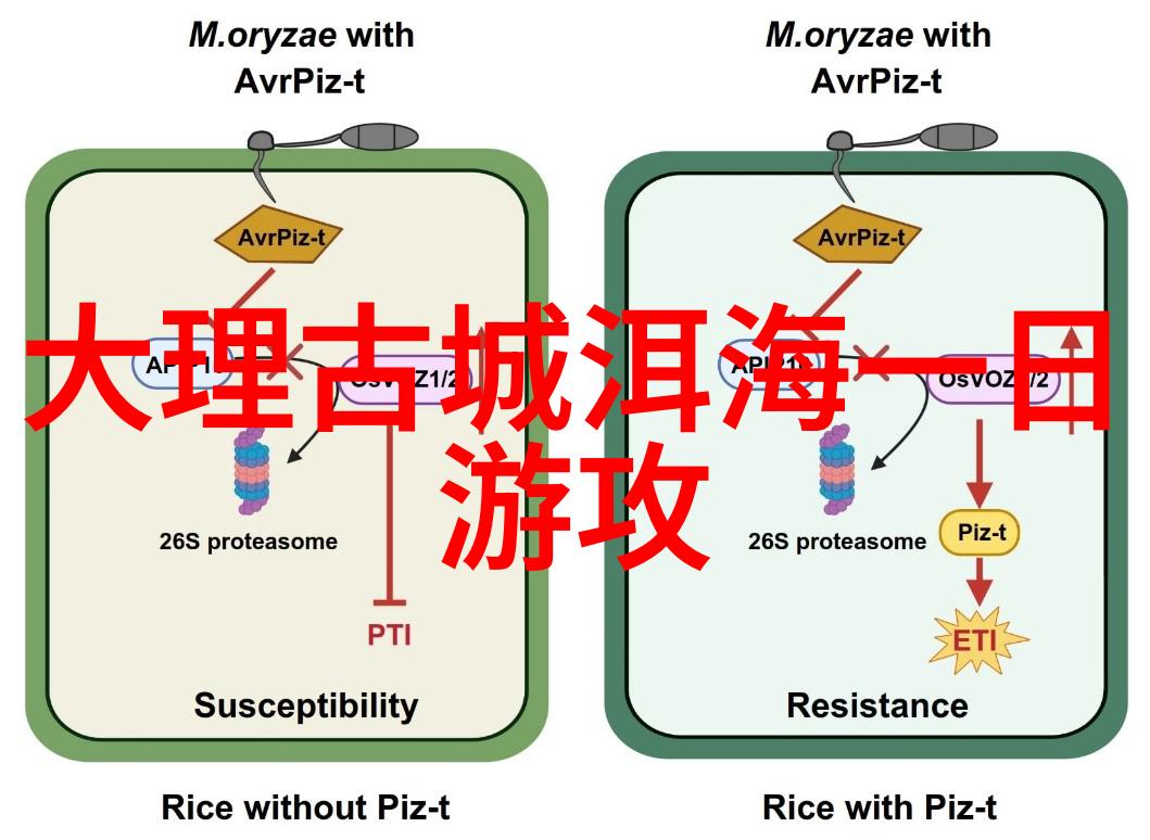 桂林之旅碧波荡漾奇峰并起的美丽盛宴