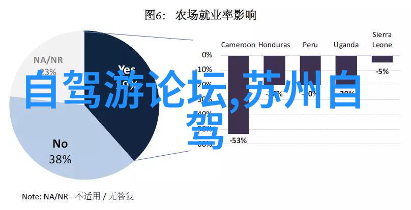 泰山背后的文化解读五千年文明的印记