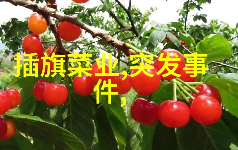 夏日绿野暑期户外活动方案精选