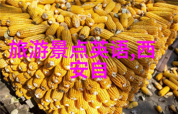 云南美丽风光自驾探秘之旅云南自然风光古镇文化美食体验