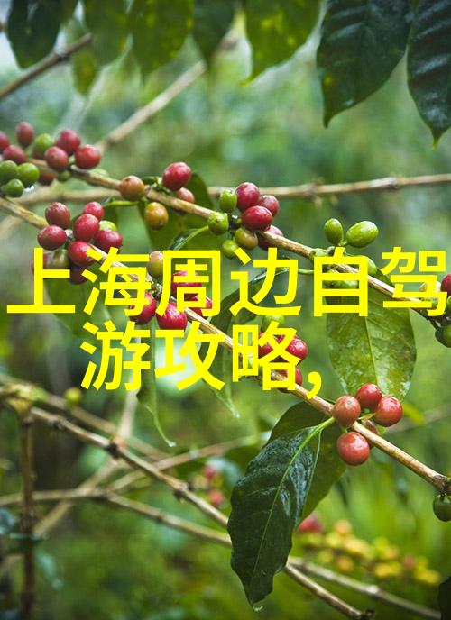 衡山风情探索衡阳市的历史与文化