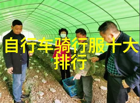 新疆风光与一等座的温暖揭秘新东方快车旅游专列的双重魅力