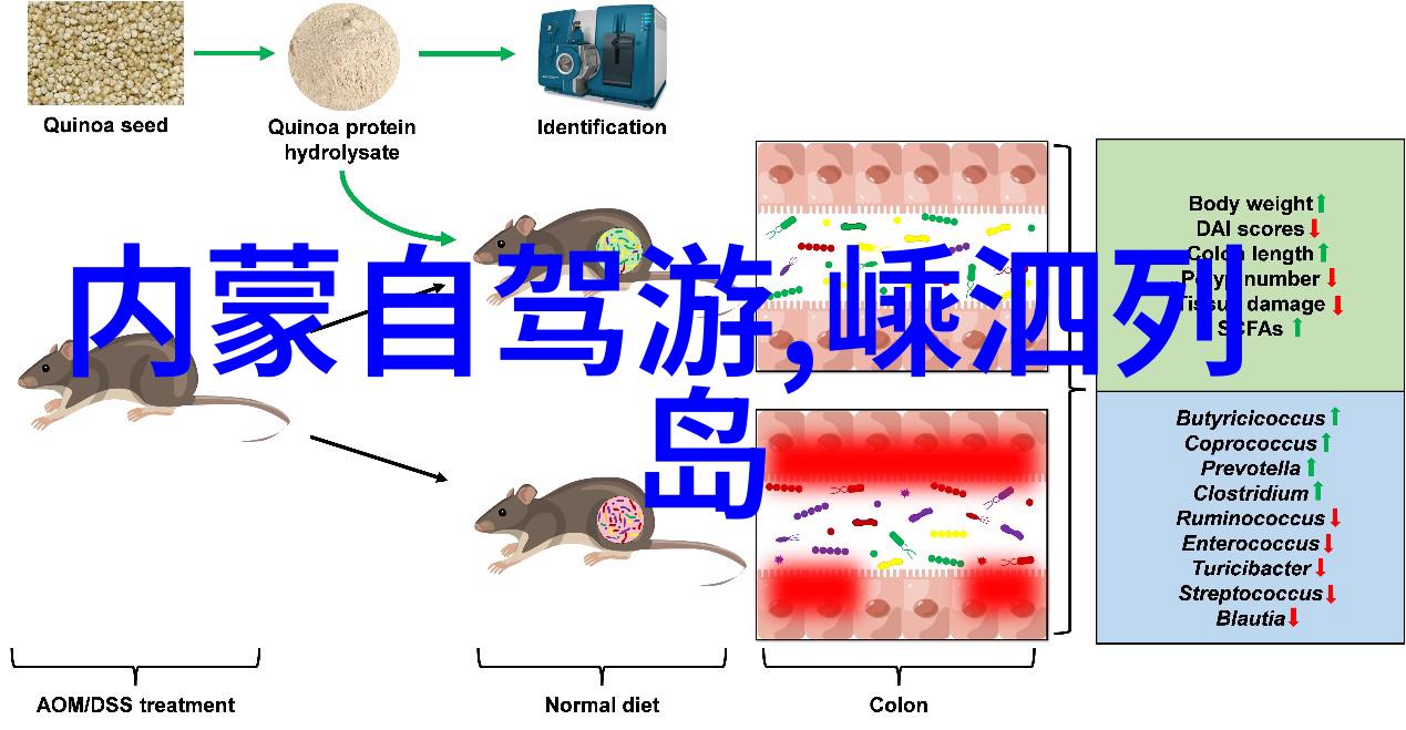 享受巴哈马群岛的清新空气和蓝色波浪的乐趣有何诱惑