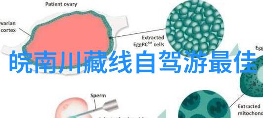 广州塔图片我拍的这张广州塔照片你一看就爱不释手