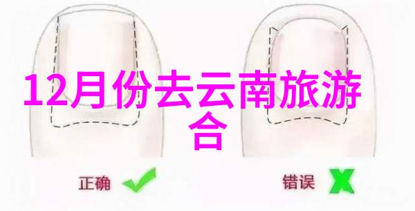 北欧冬季浪漫行程在挪威瑞典和芬兰中应该选择什么样的活动来感受冰雪盛期