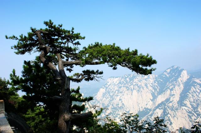 华山旅游住宿攻略_华山附近住宿哪里便宜又好_华山景区附近住宿攻略/