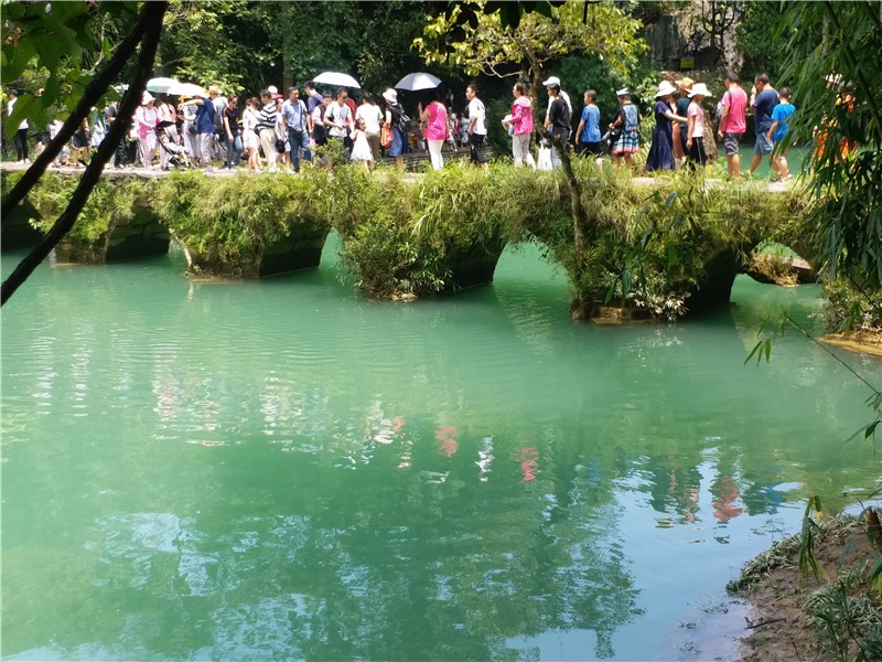 连云港当地参团三日游_贵州当地参团旅游_欧洲当地参团咨询/