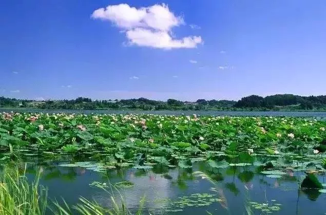 自驾山东游的最佳攻略是什么_自驾山东游玩最值的去的地方_山东自驾游/