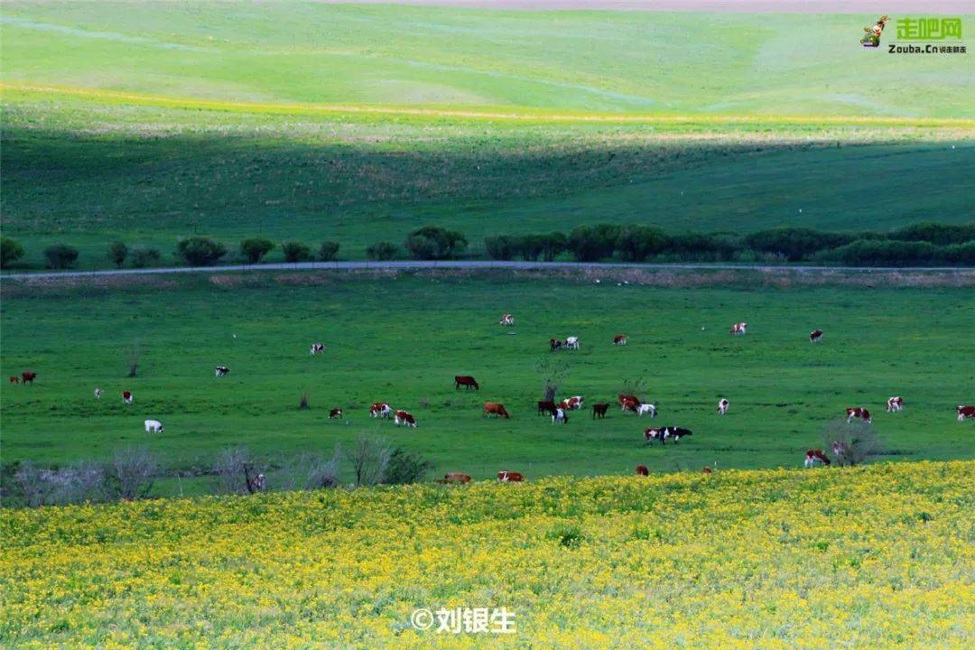 内蒙自驾游_自驾内蒙游路线_自驾内蒙旅游攻略自助游攻略/