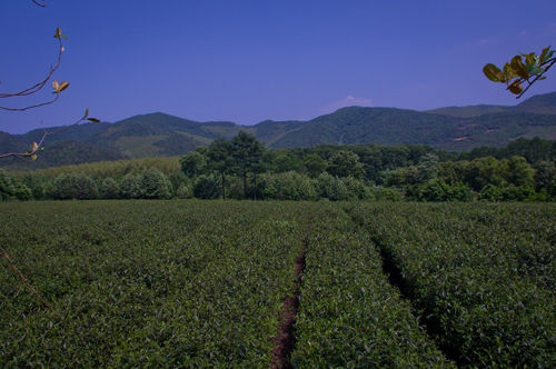 龙池山自行车公园美景/